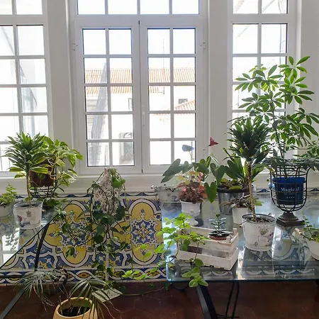 Palacio De 3* Rio Frio (Lisbon)